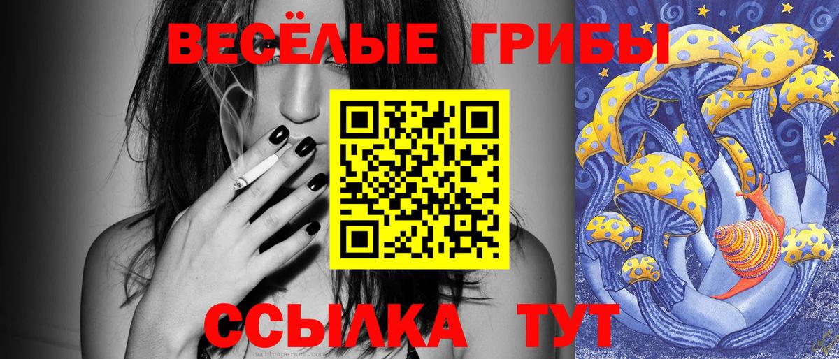 Стрежевой  Галлюциногенные грибы Psilocybine cubensis  купить наркотики цена  Вход с VPN 